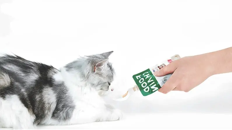 Wet Cat Food