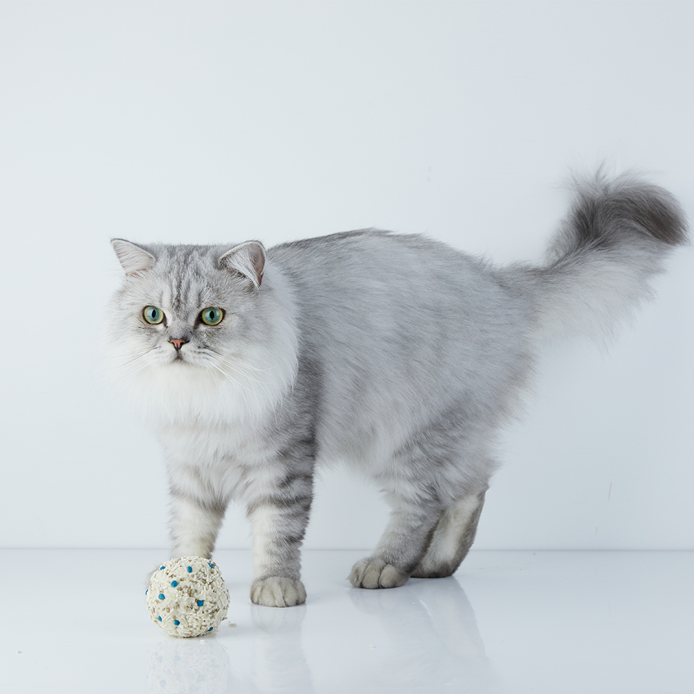 PETKIT Occult Blood Test Mixed Cat Litter - Image 9